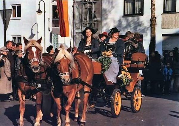 Wagonette Nr. 60 mit den Haflingern von Kastelruther-Sänger Norbert Rier