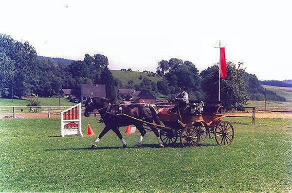 Jagdwagen ALLGÄU Nr. 78 (Bodensee)