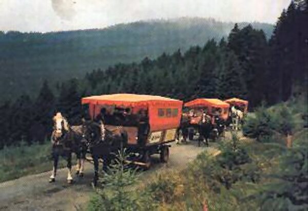 In Wernigerode und bei den Brocken-Fahrten sind über 10 SAWA-Planwagen im Einsatz