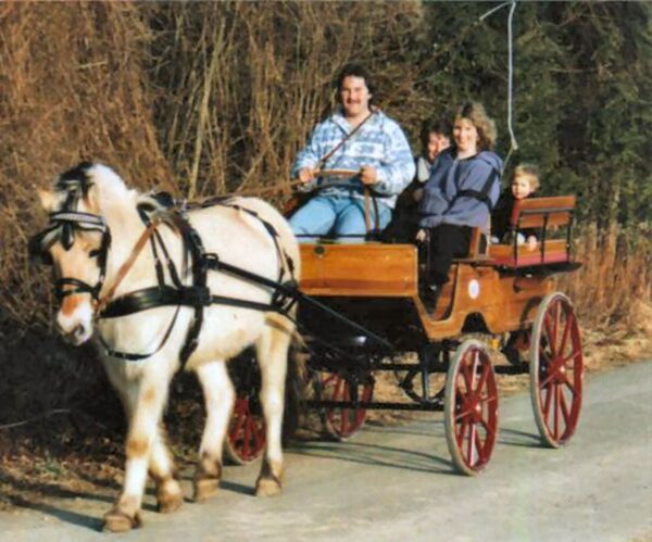 Wagonette Nr. 75 mit Fjord-Pferd (Schweiz)