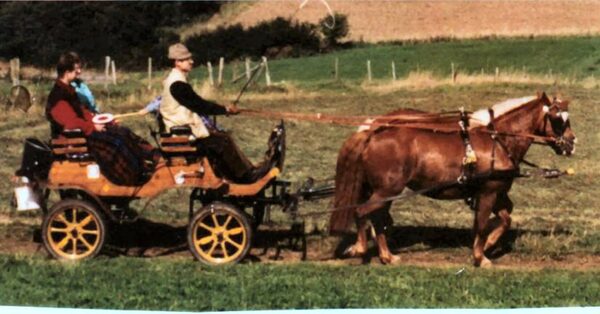 Jagdwagen ALLGÄU Nr. 42 (Eifel)