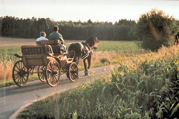 Jagdwagen ALLGÄU mit Friese, (Oberpfalz)