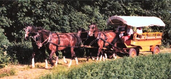 Planwagen Sondermodell, (Bodensee)