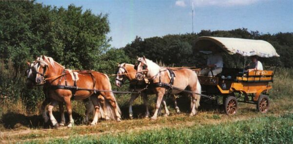 Wagonette Nr. 60 bei Göttingen