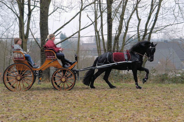 Jagdwagen "Allgäu" mit Friese (NRW)