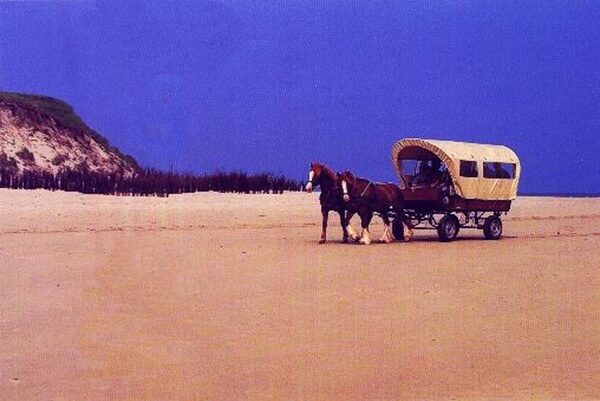 Am weißen Strand von ... der Insel Jüst. Sawa Planwagen Typ Nr. 03