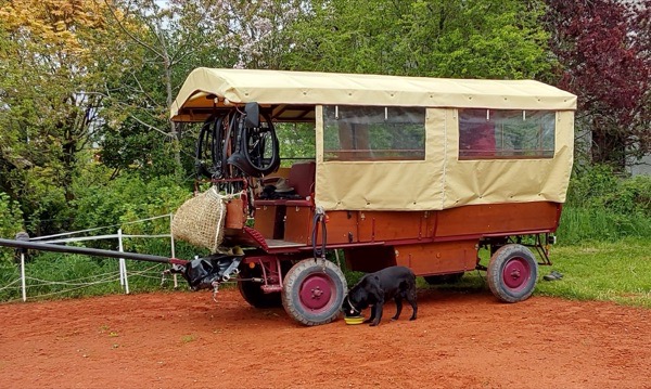 Planwagen mit Trekkingausstattung