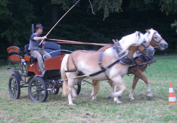 Ideal für Freizeit und Sport